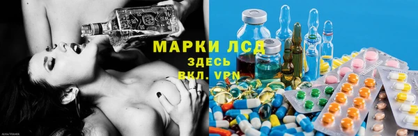 spice Алзамай