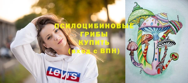 прущая мука Алексин