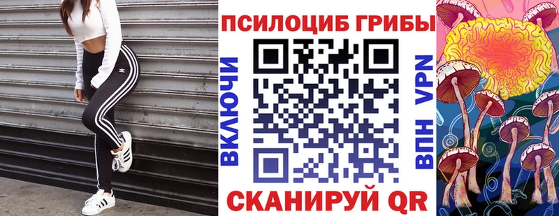 Псилоцибиновые грибы Psilocybine cubensis  Дудинка 